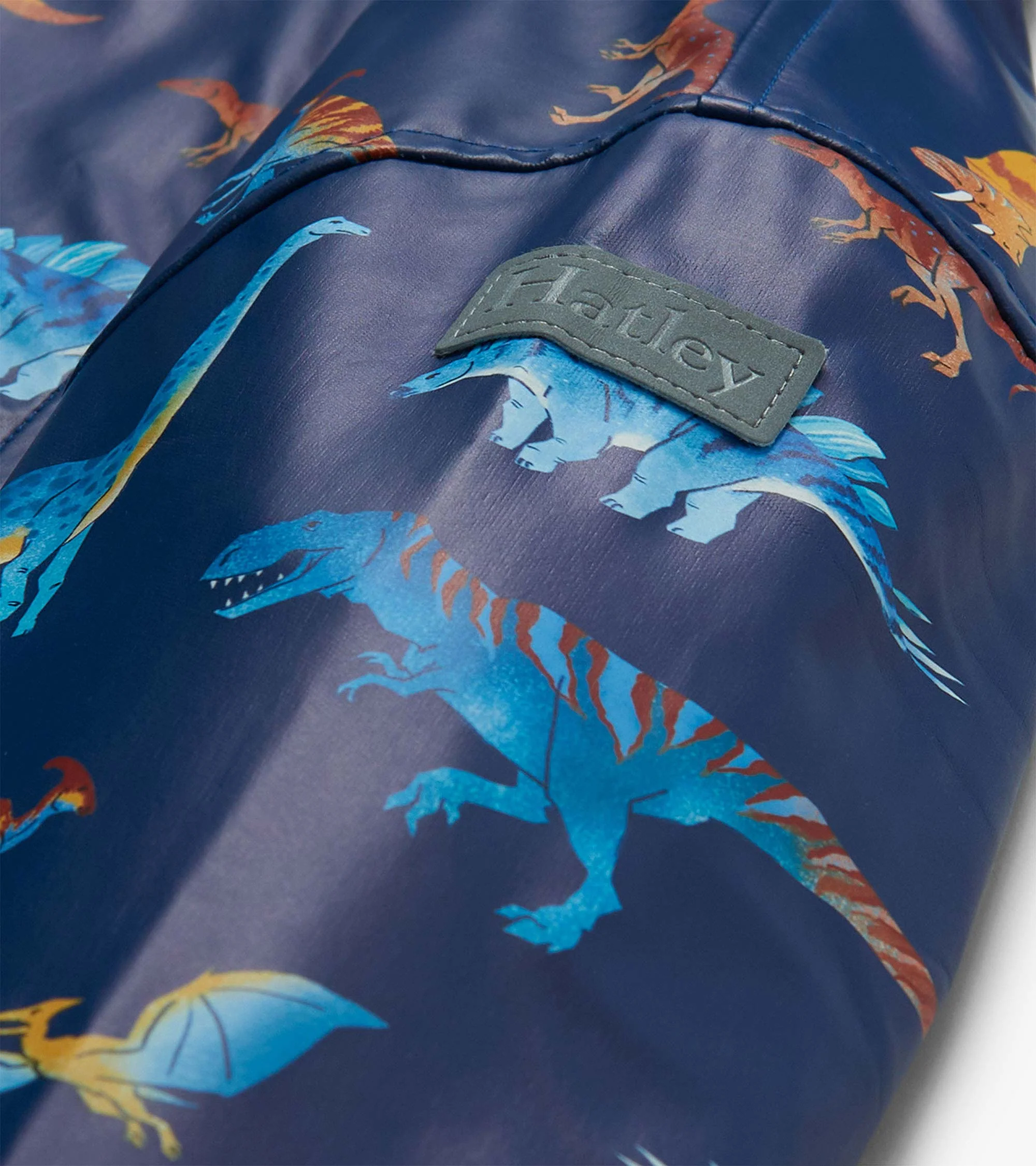 Boys Colourful Dinos Rain Jacket - Image 4