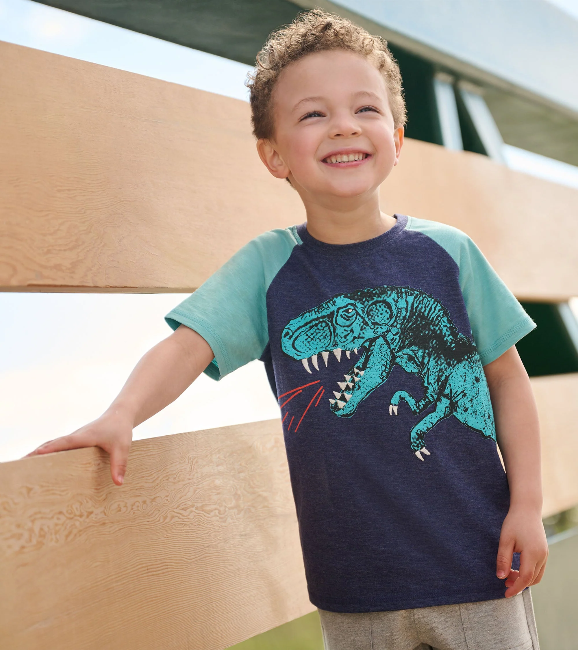 Boys T-Rex Raglan T-Shirt - Image 2